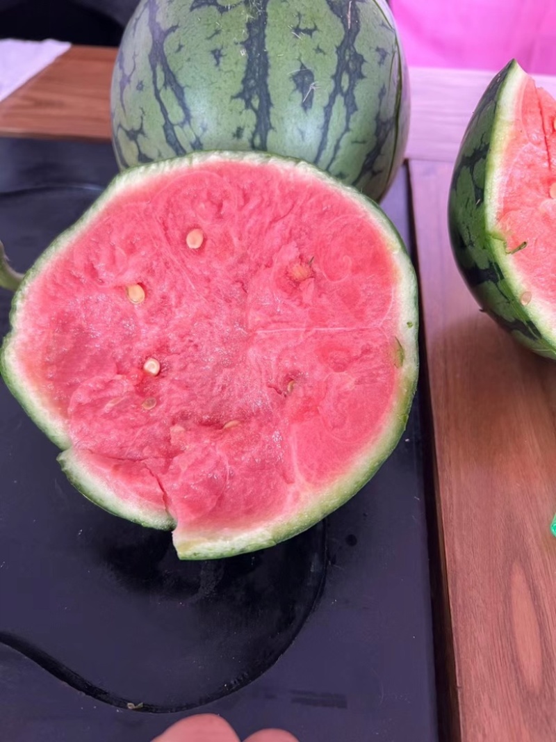精品2k小糖丸西瓜，个头均匀现货直发，对接各大市场商超