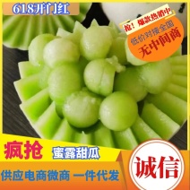 一件代发山东优质蜜露甜瓜品质好货包邮到家对接全国档口