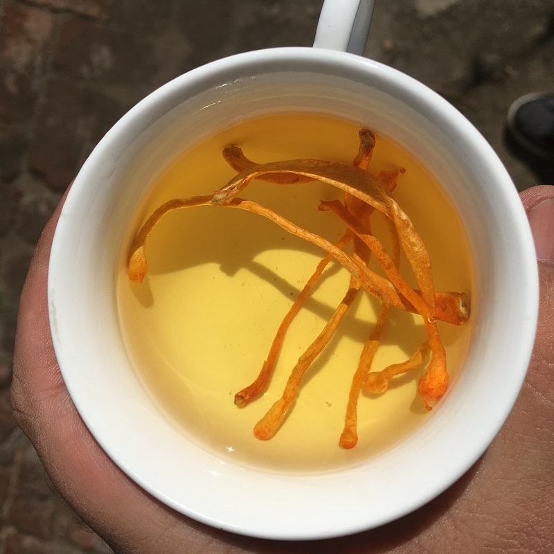 虫草花干货特级孢子头精选新鲜北金蛹虫草煲汤材料1