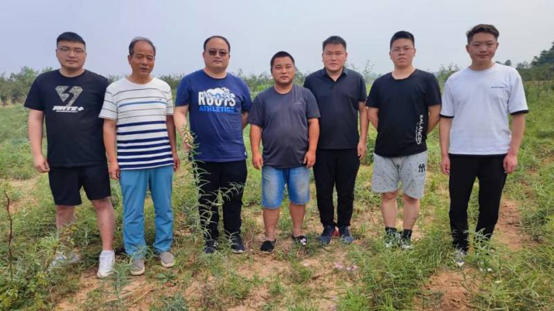 【快递发货】韩城禾斗丰优质种苗品质优长势快，鸡头黄精