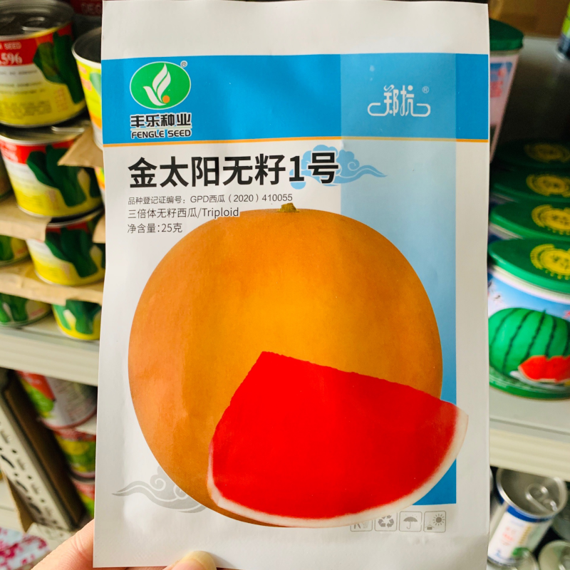 丰乐三倍体无籽西瓜种子小籽大果礼品瓜种子金黄皮鲜红瓤