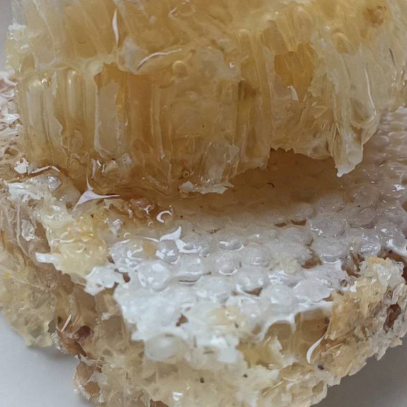 云南深山老林野生蜂蜜一年割一次自然生长质量保证