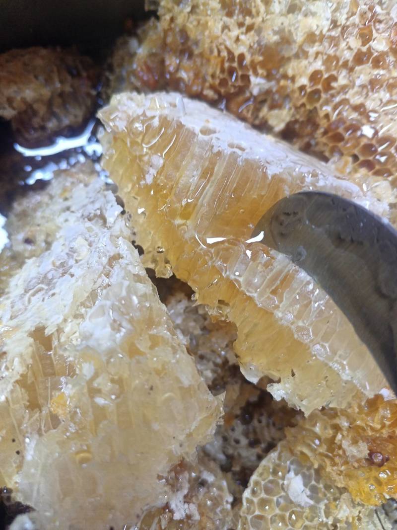 云南深山老林野生蜂蜜一年割一次自然生长质量保证