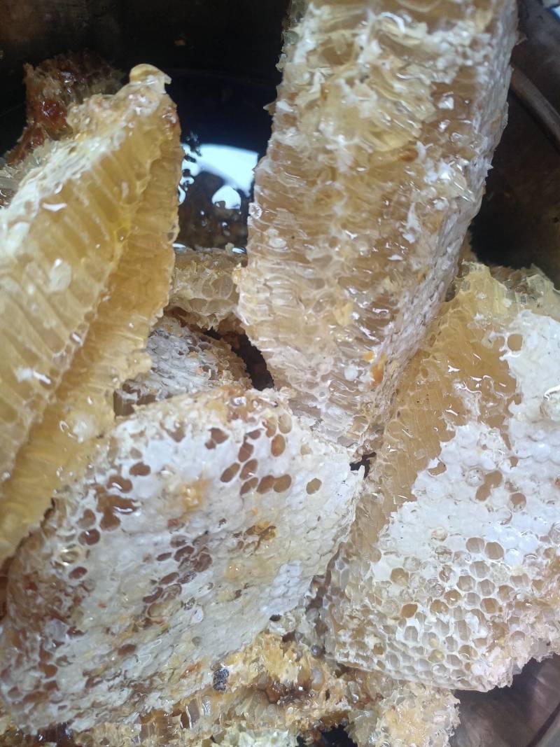 云南深山老林野生蜂蜜一年割一次自然生长质量保证