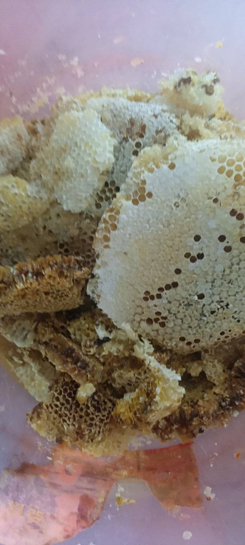云南深山老林野生蜂蜜一年割一次自然生长质量保证