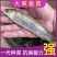 长江一号草鱼苗淡水养殖草鱼苗杂交草鱼苗打过两针疫苗