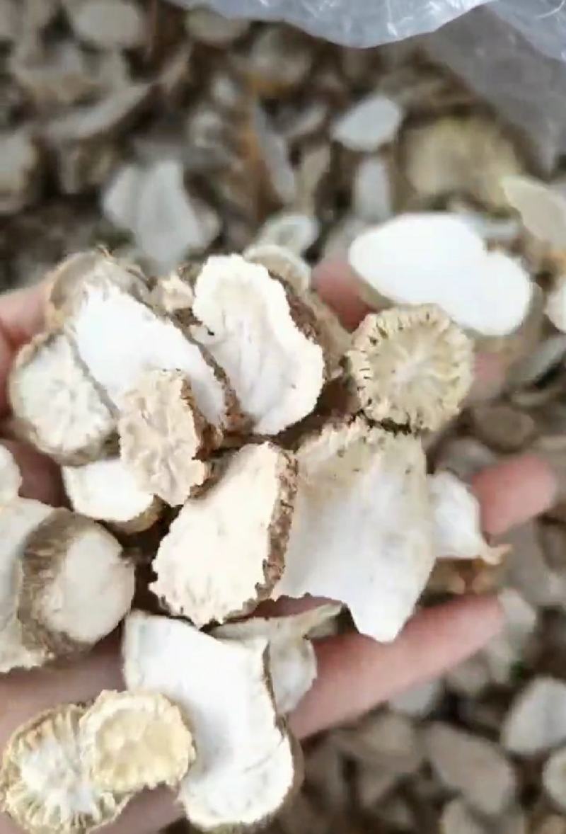 金果榄干货金果榄切片个子常年经营各种中药材