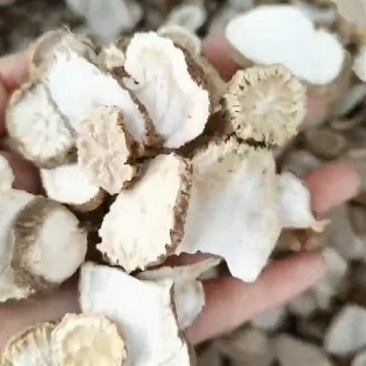 金果榄干货金果榄切片个子常年经营各种中药材