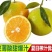 秭归夏橙，蜜奈大量上市中！产地一手货源供应！
