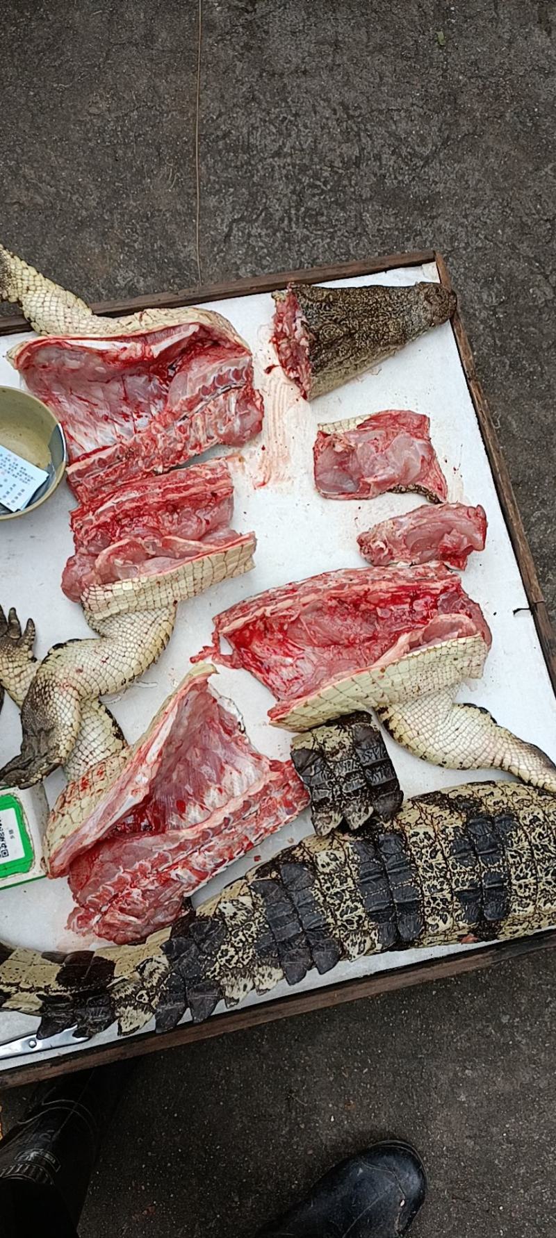 红烧焖鳄鱼肉