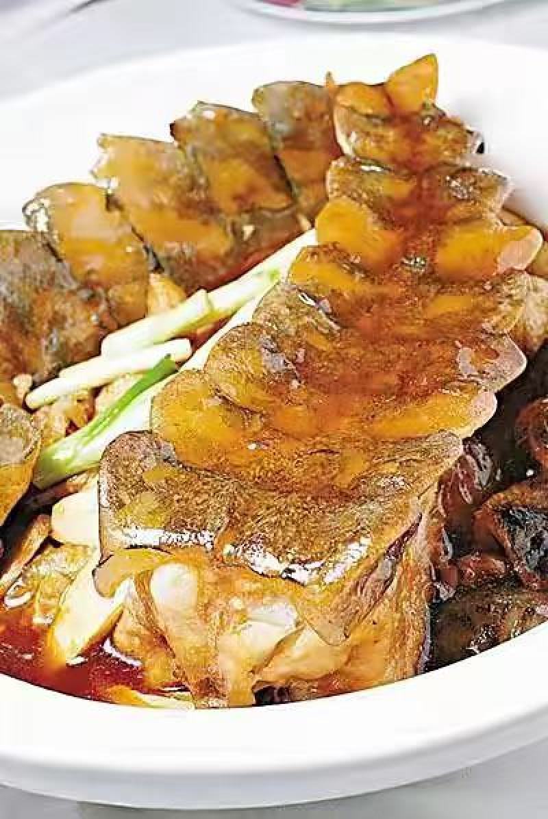 红烧焖鳄鱼肉