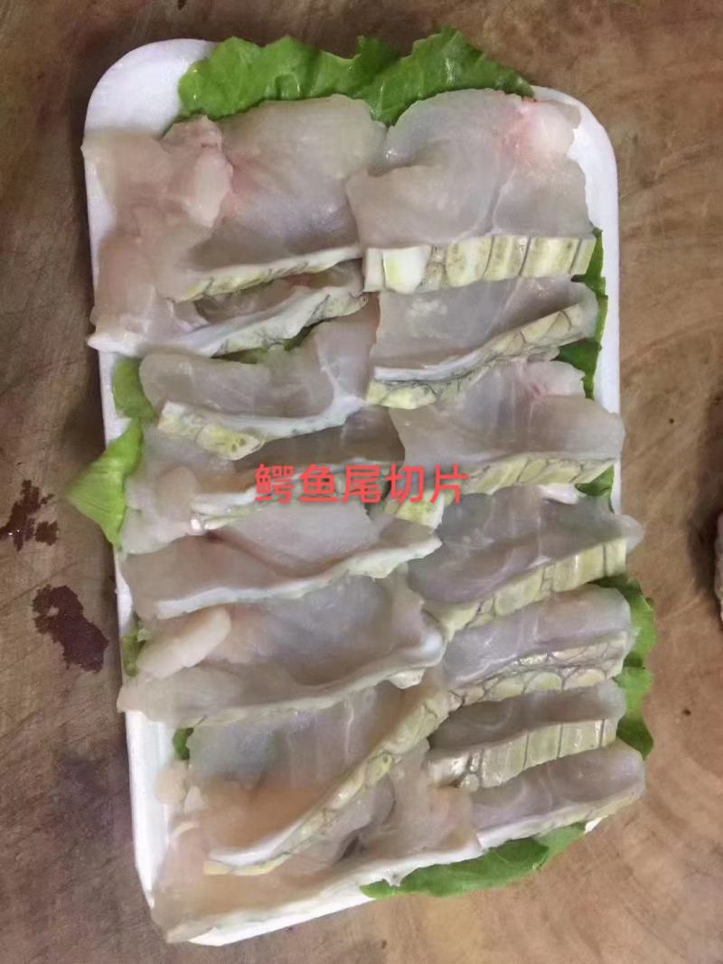 红烧焖鳄鱼肉