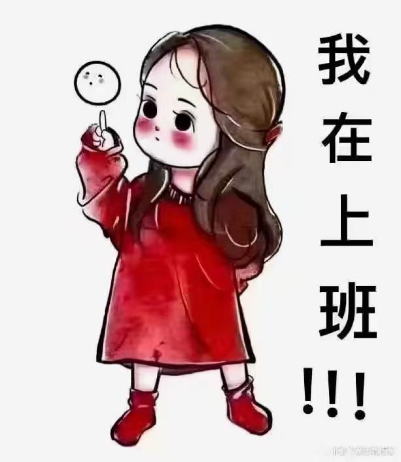 红烧焖鳄鱼肉