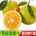 秭归夏橙，蜜奈大量上市中！产地一手货源供应！