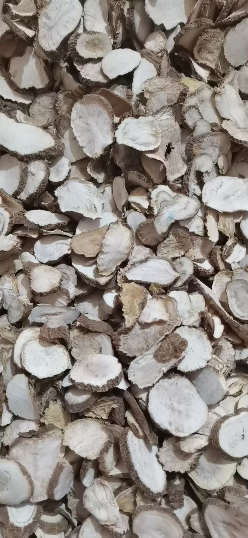 金果榄干货金果榄切片个子常年经营各种中药材