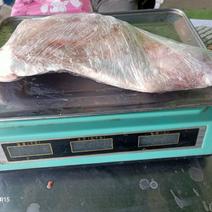 内蒙古羔羊烤羊前腿，5到9条，10公斤标码