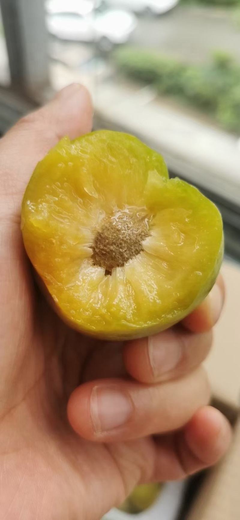 贵州特产蜂糖李，精品颗粒装，可视频看货，产地直供