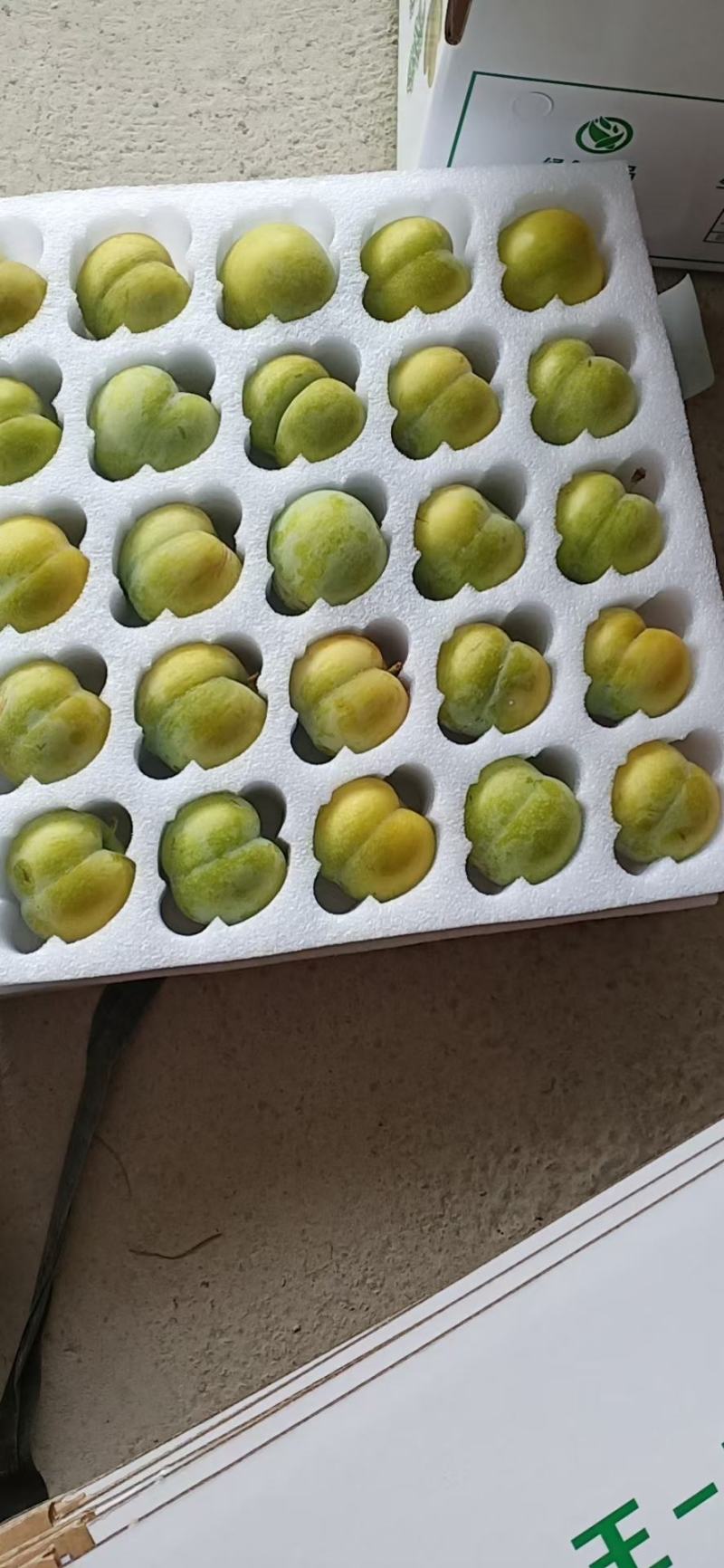 贵州特产蜂糖李，精品颗粒装，可视频看货，产地直供