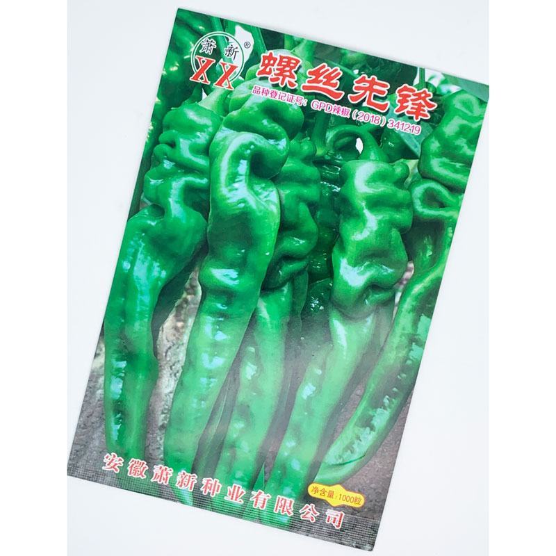 萧新螺丝先锋螺丝椒种子早熟大果辣味香浓螺丝椒种1000粒