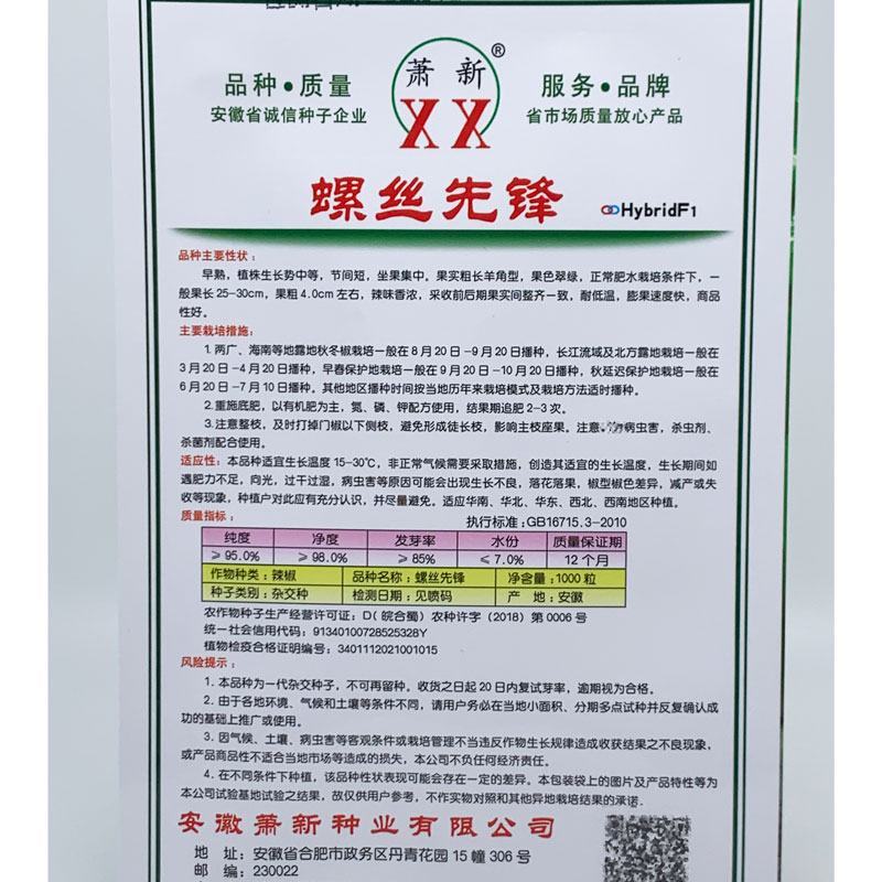 萧新螺丝先锋螺丝椒种子早熟大果辣味香浓螺丝椒种1000粒