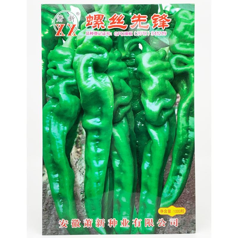 萧新螺丝先锋螺丝椒种子早熟大果辣味香浓螺丝椒种1000粒