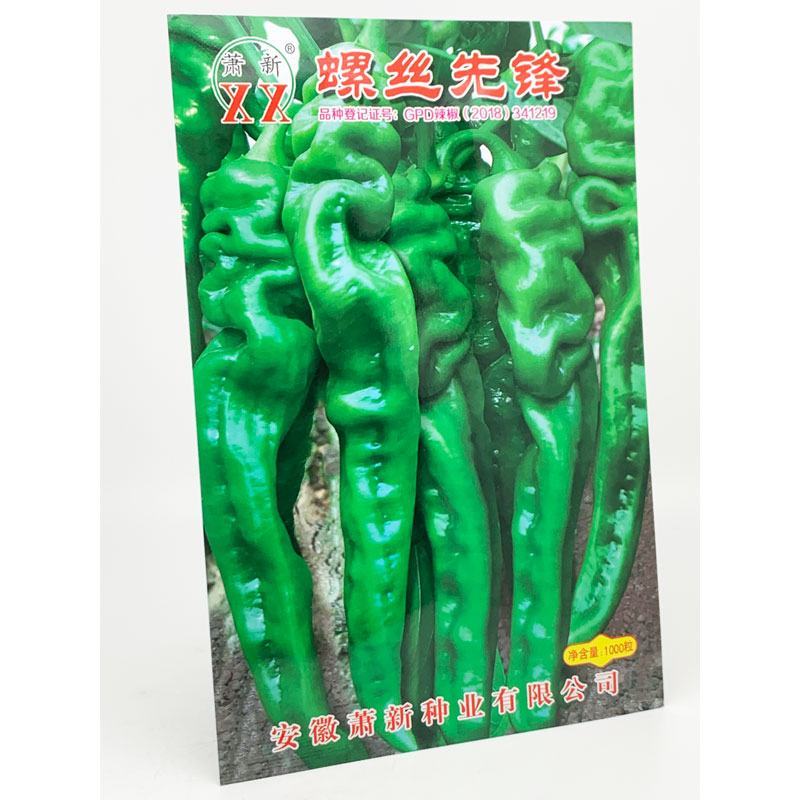 萧新螺丝先锋螺丝椒种子早熟大果辣味香浓螺丝椒种1000粒