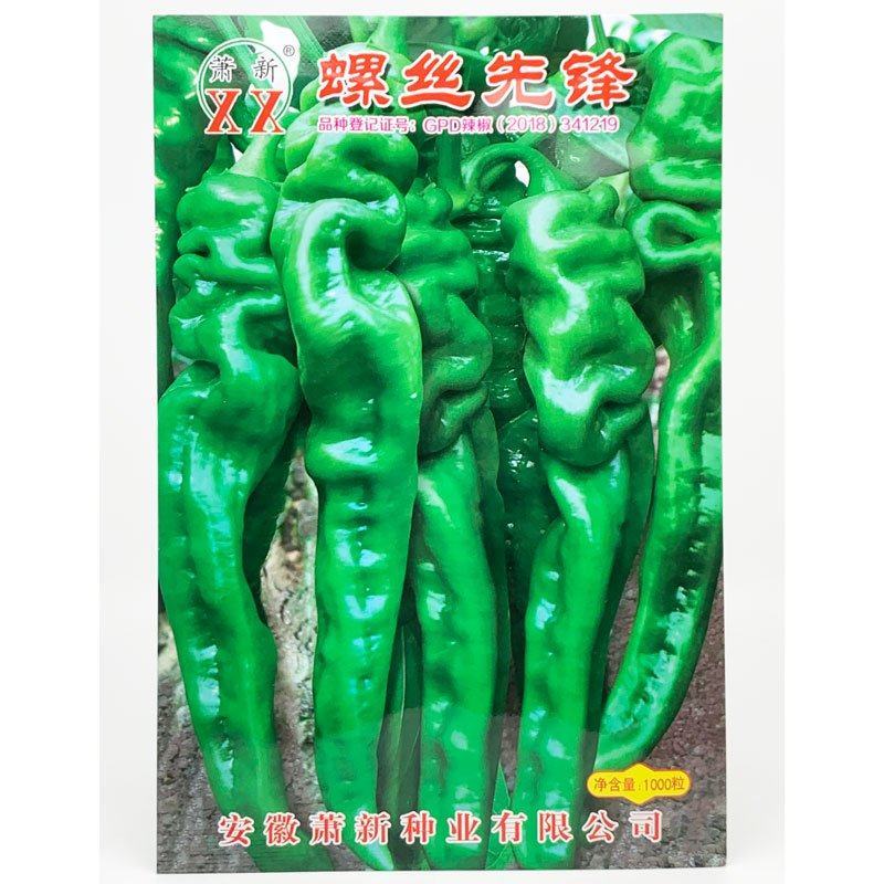 萧新螺丝先锋螺丝椒种子早熟大果辣味香浓螺丝椒种1000粒