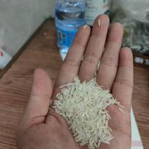 巴基斯坦白米，现货，新鲜，直签，鲜货。