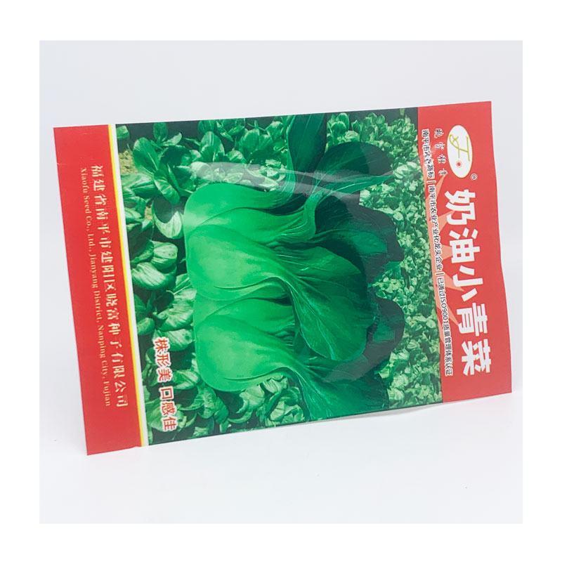 晓富奶油小青菜种子四季阳台盆栽好吃青菜籽20克原装发货