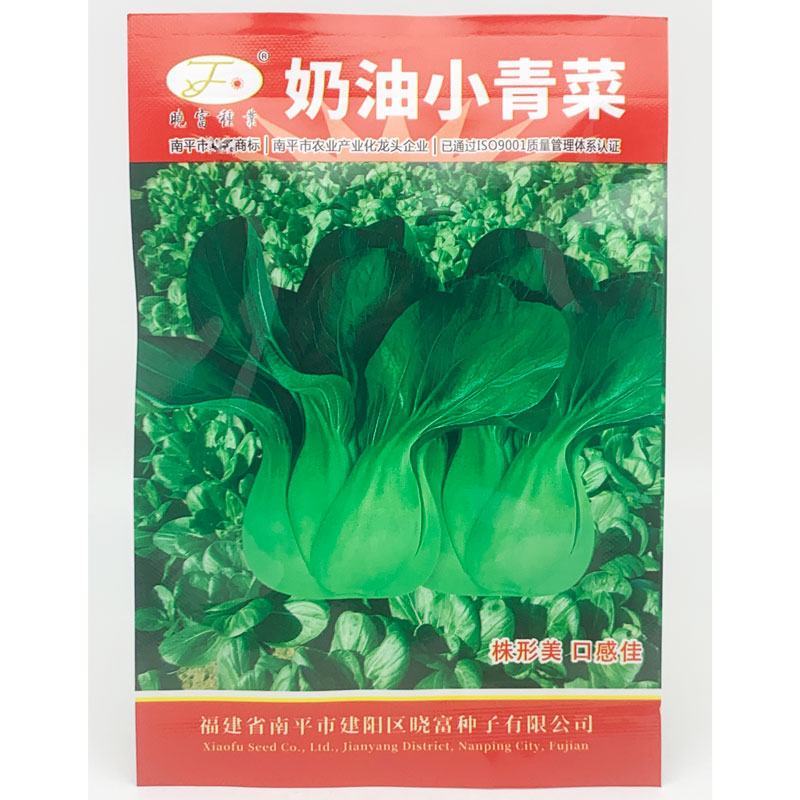 晓富奶油小青菜种子四季阳台盆栽好吃青菜籽20克原装发货