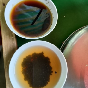 一四年虫茶