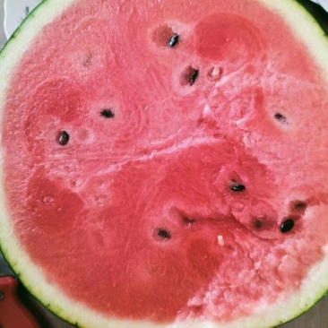 甜王西红自家种的