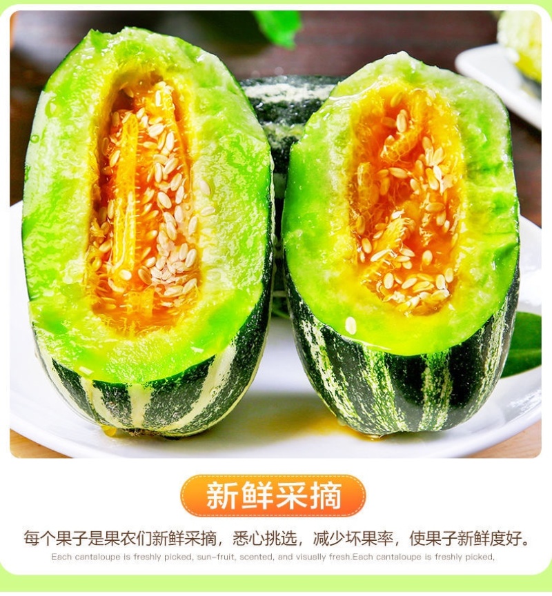 山东博洋九甜瓜产地直供对接电商商超批发市场全国代发