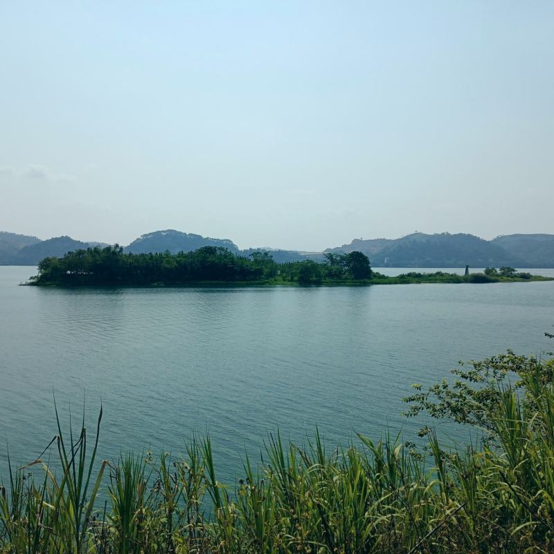【转让】50亩广西梧州藤县西江边生态农场（含江心岛）