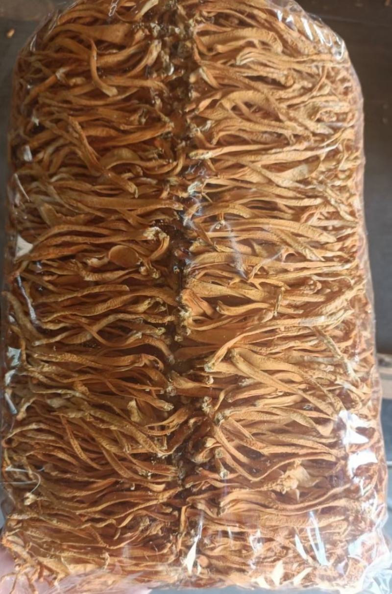 东陵精品排草