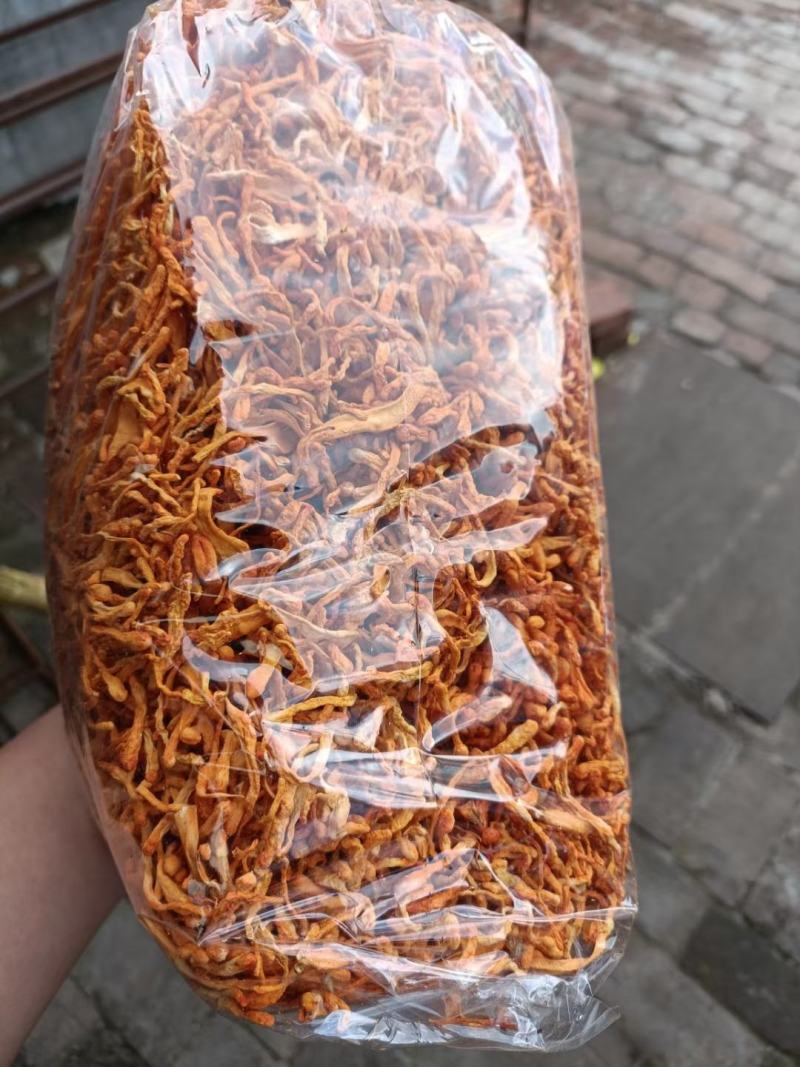 东陵精品排草