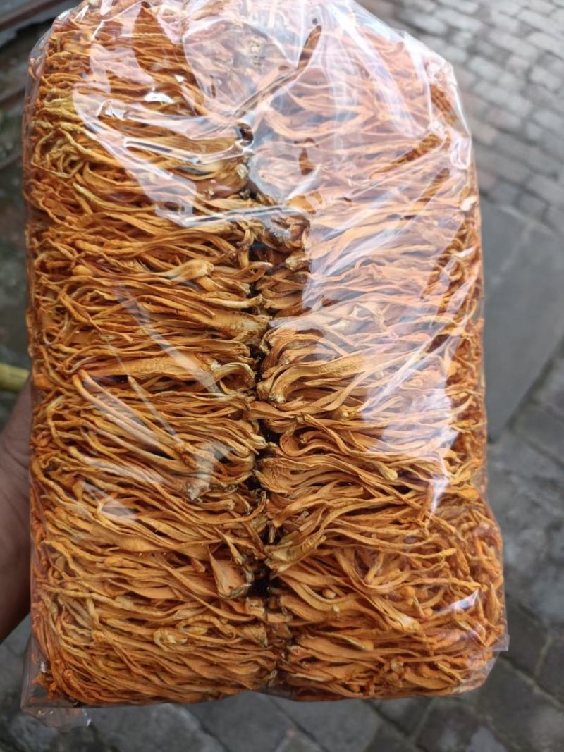 东陵精品排草