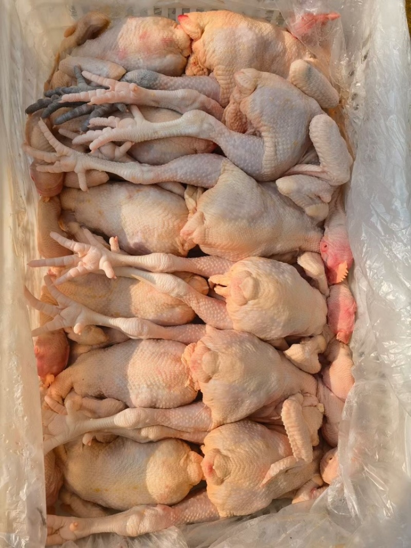 鸡肉、白切、鼓油、焖、烧烤！都是好的选择
