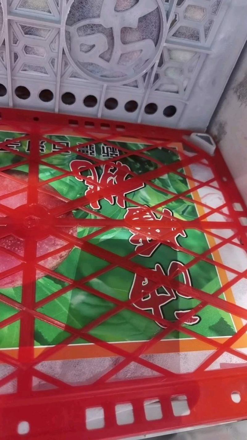 36-3油蟠桃，大棚油蟠桃大量供货品种齐全欢迎产地看货