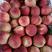 湖北桃子，毛桃，油桃，鲜红桃批发出售，欢迎您联系我。