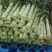 甘肃兰州高原夏菜上市