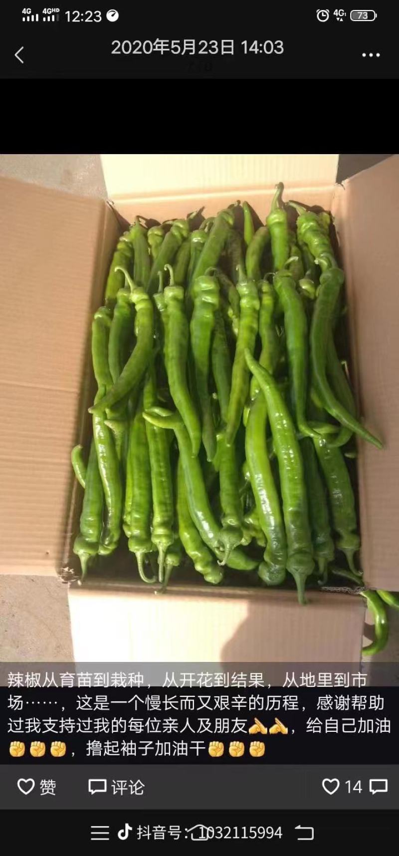 昆明娃娃菜