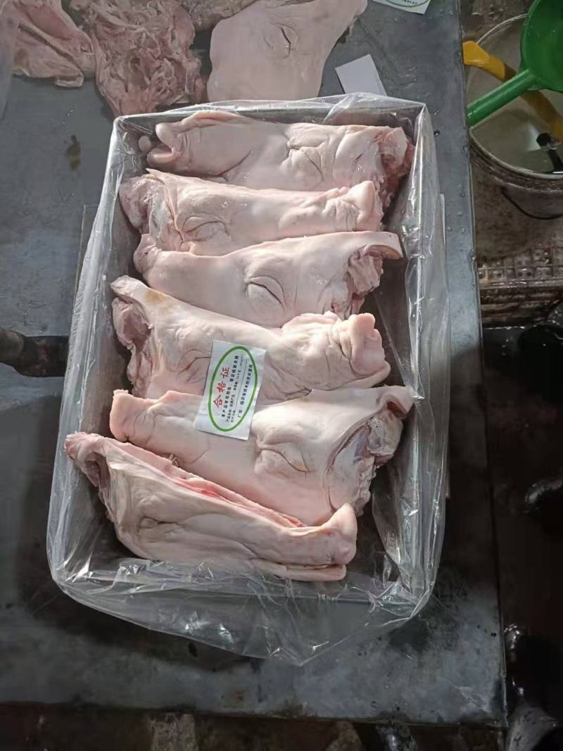 国产猪头