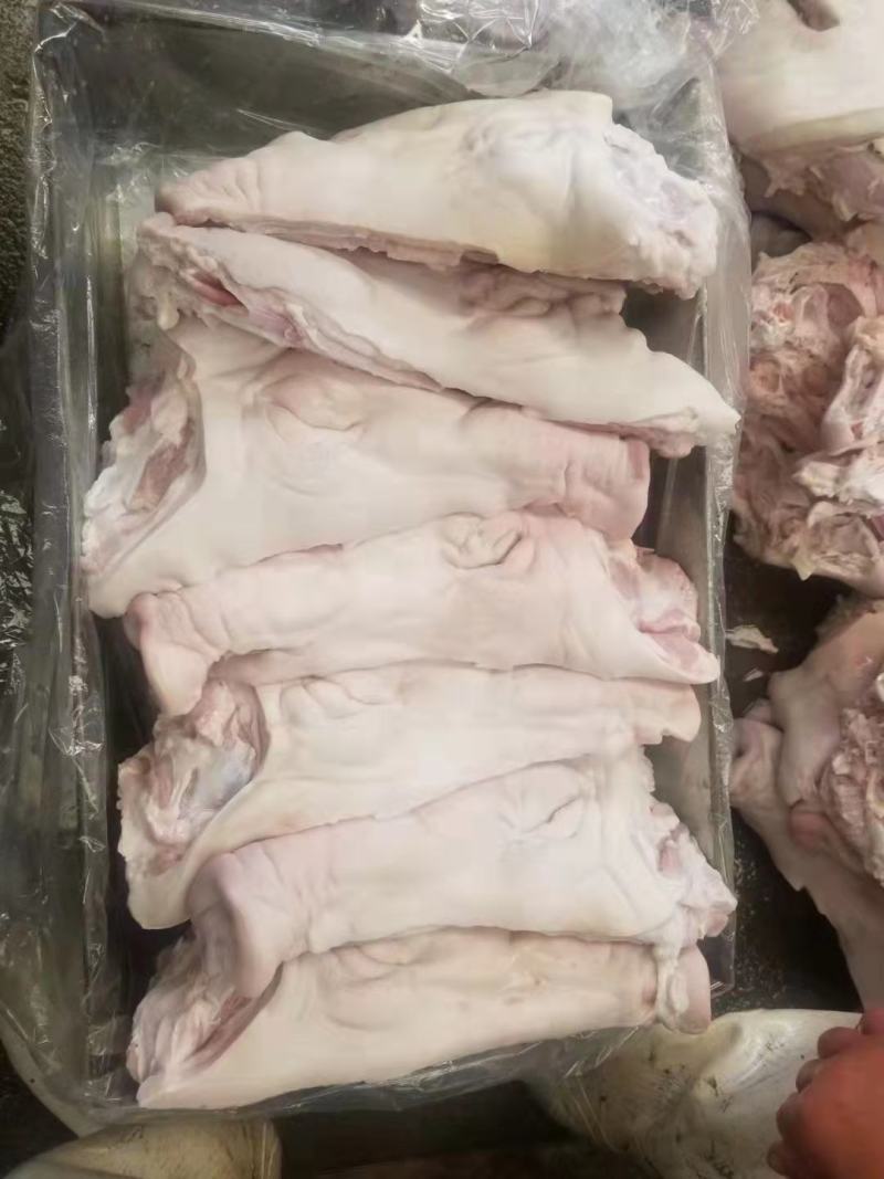 国产猪头