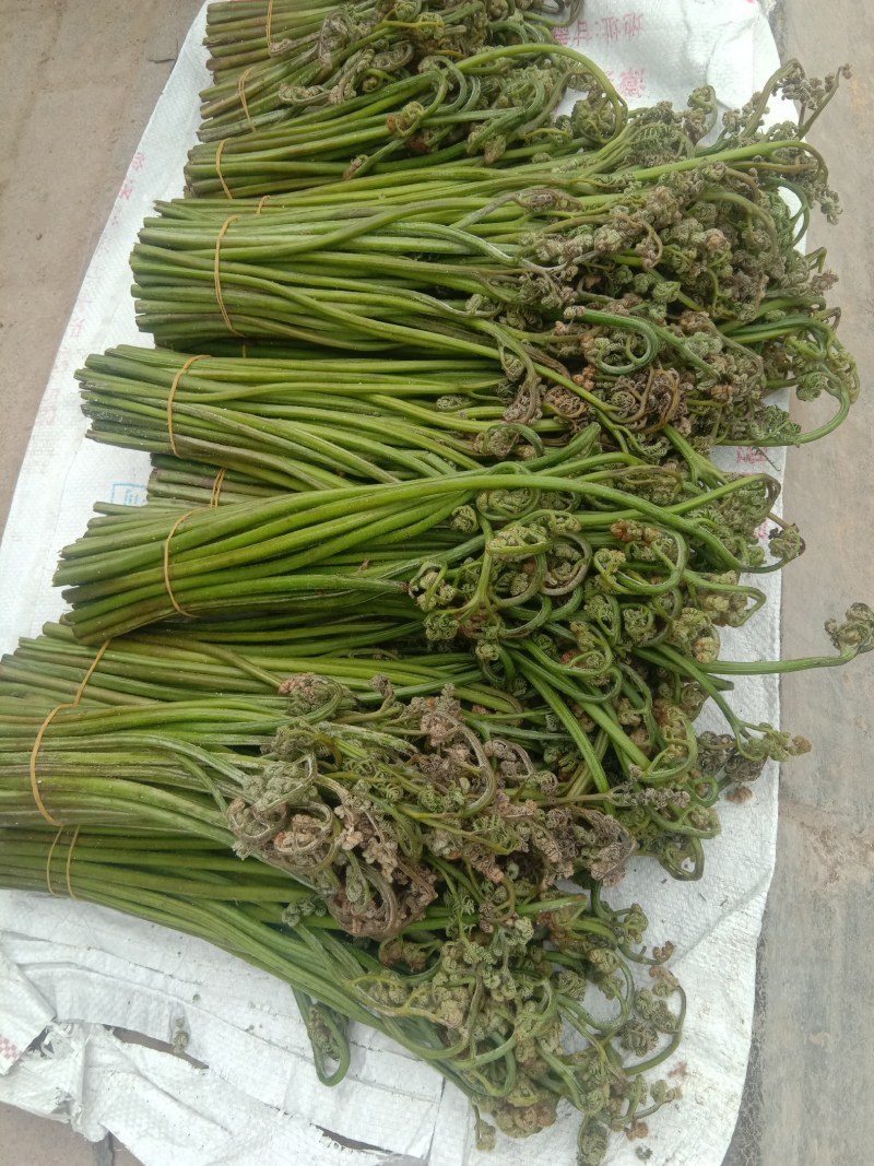 山野生菜