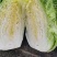 大白菜，货源充足，常年供货