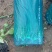 新民产地大量供应精品优质优品小葱