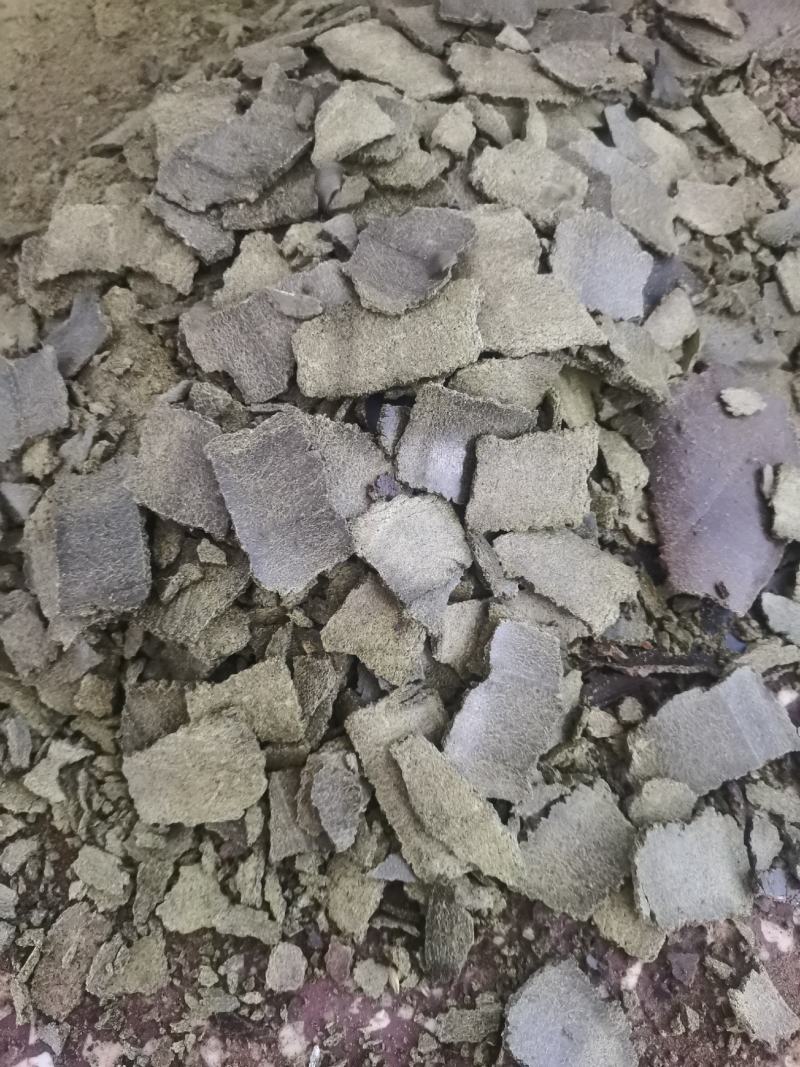 菜籽油枯，价格随行