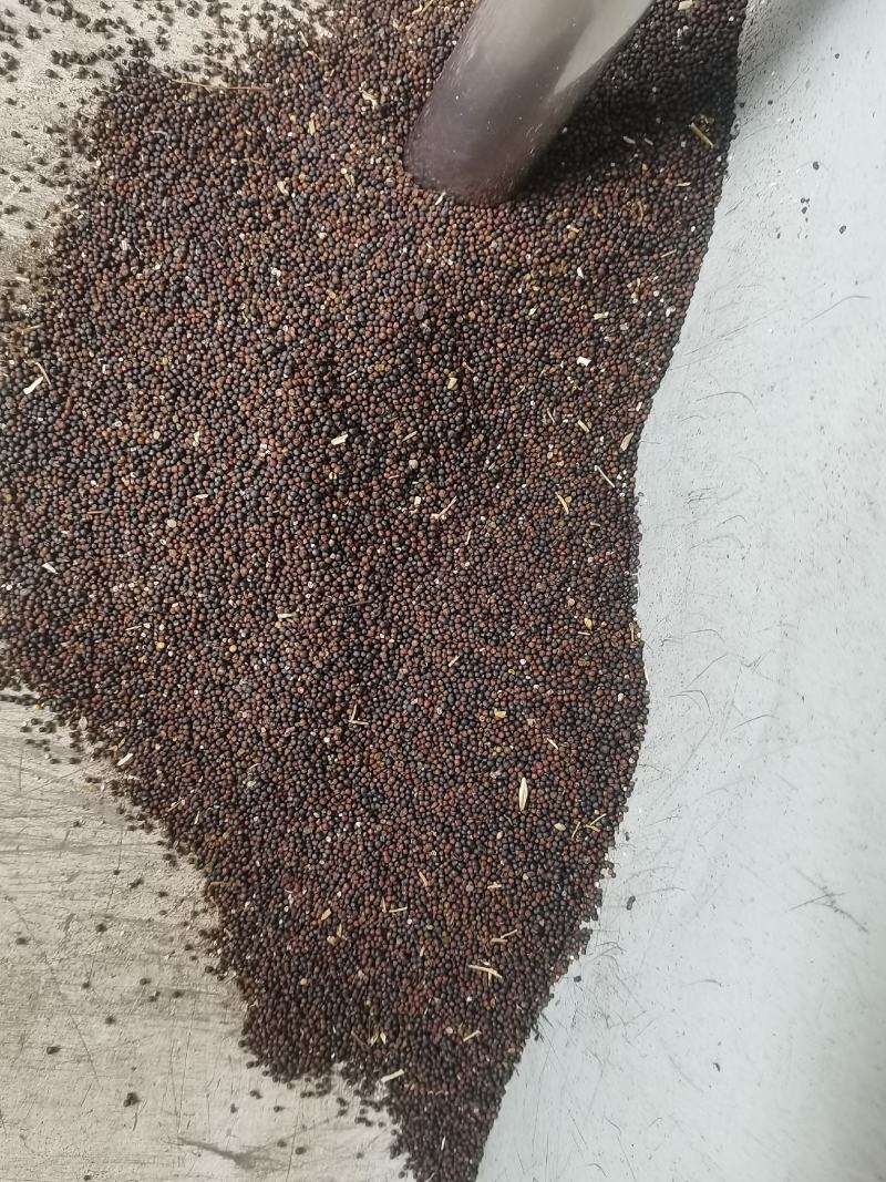 菜籽油枯，价格随行