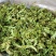 脱水蔬菜脆嫩爽口干花菜